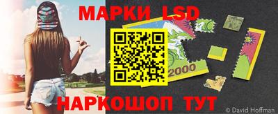 спиды Новодвинск
