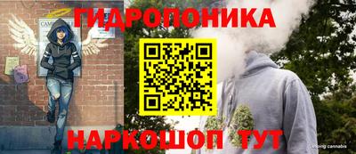 спиды Новодвинск