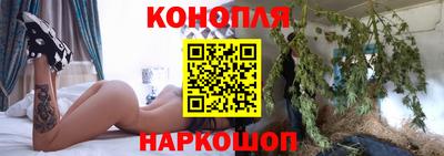 шишки Новозыбков