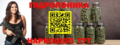 спиды Новодвинск