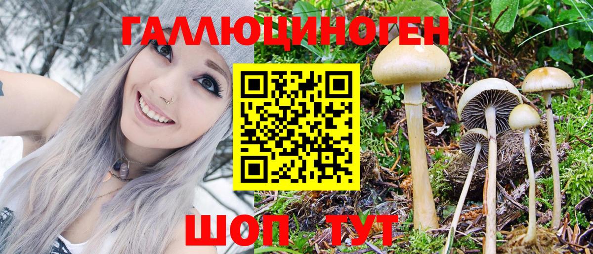Соликамск  Галлюциногенные грибы Cubensis  Вход с VPN 